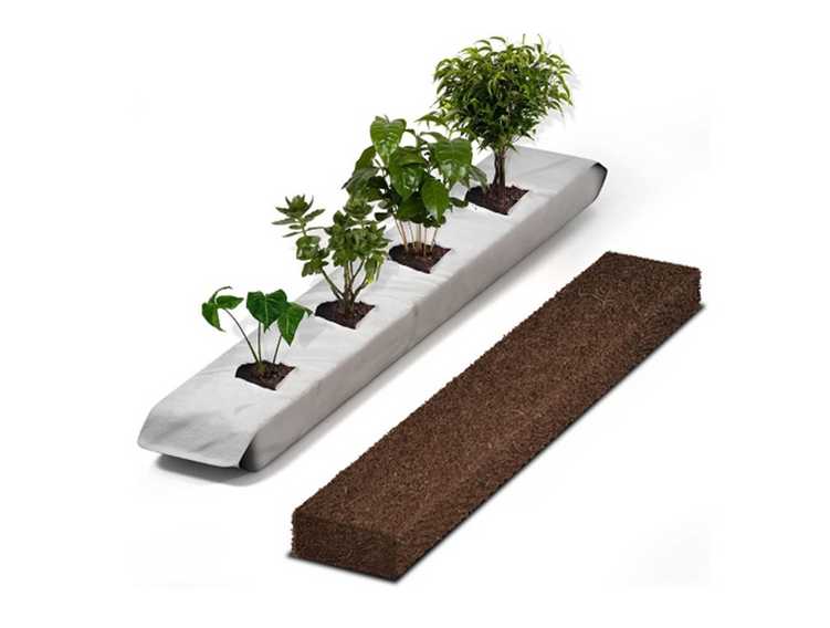Coco peat grow bags