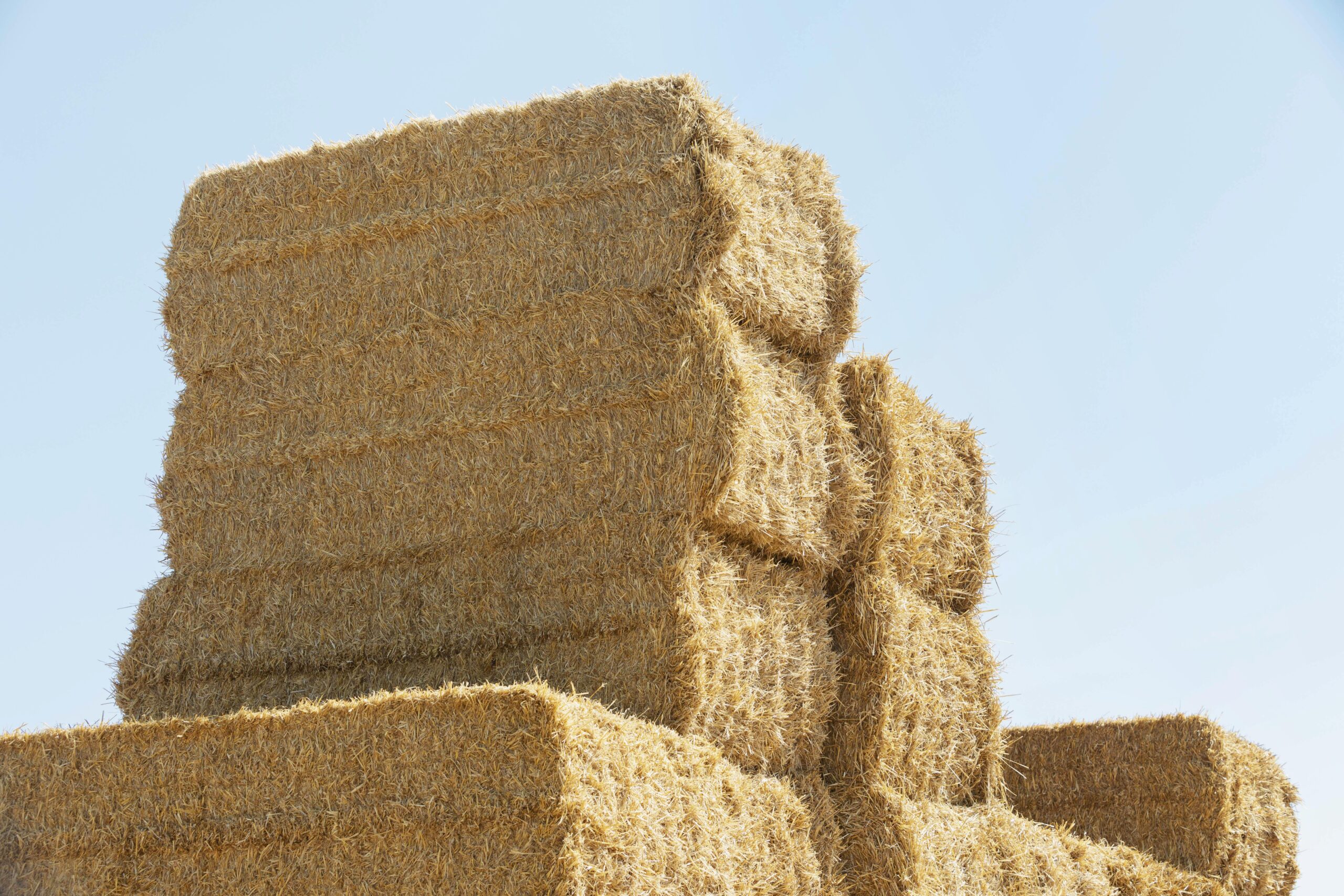 Coco Peat 5kg block