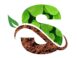 shivanisreeexports.com