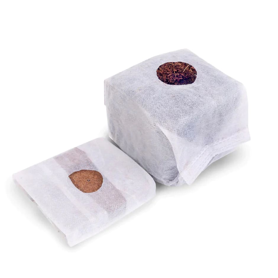 Coco Cubes